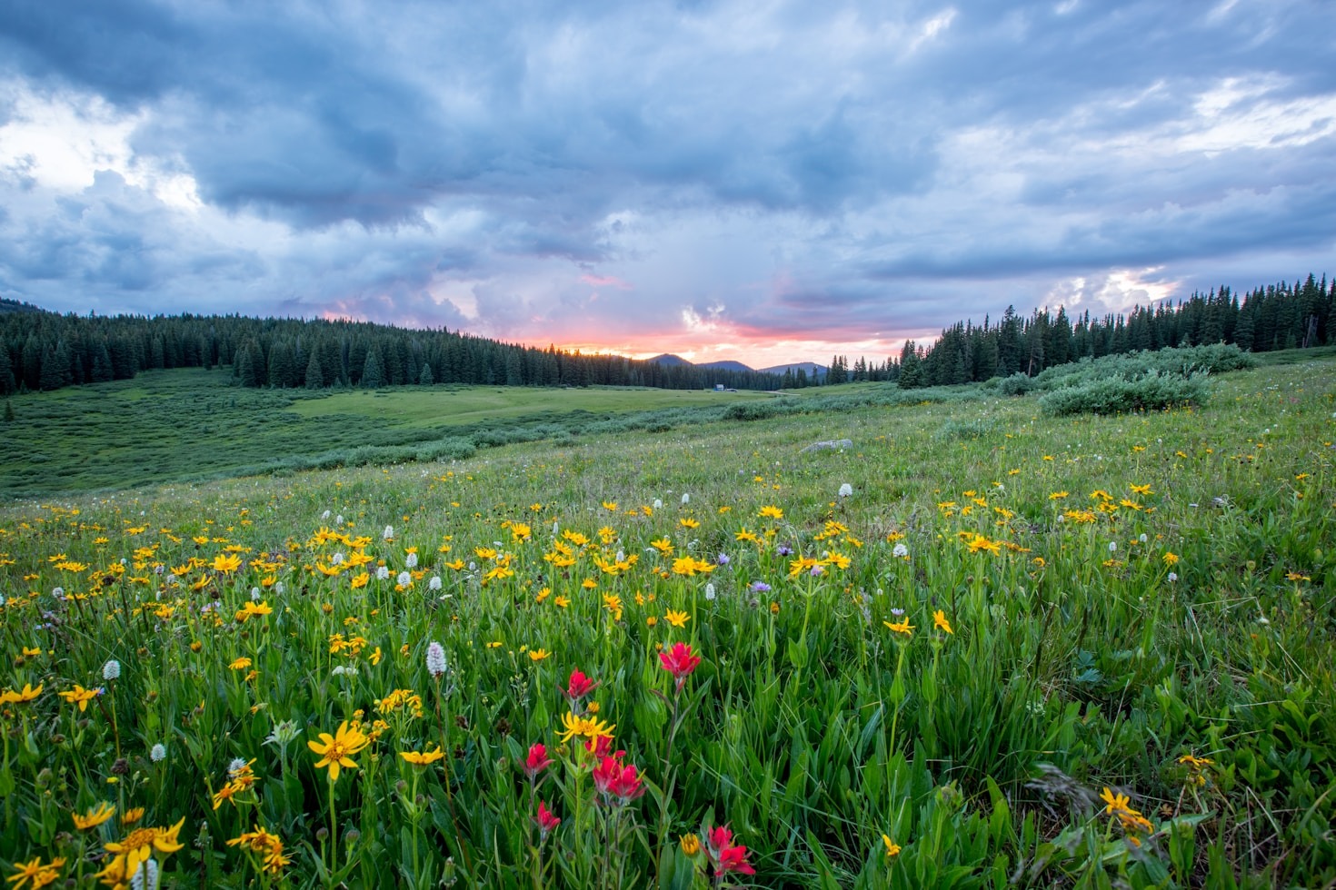 How to Find Inspiration in the Outdoors