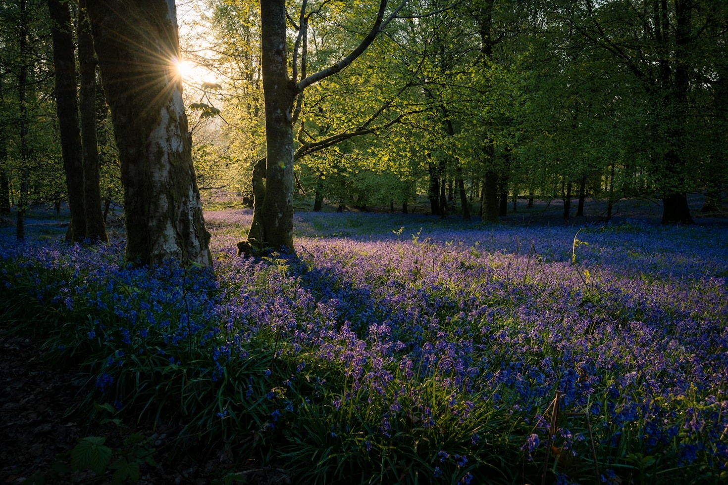 The Passion Behind Grundig’s Captivating Shots